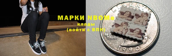прущие грибы Карпинск