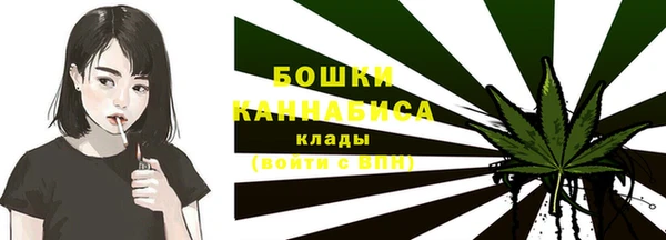 прущие грибы Карпинск