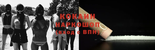 прущие грибы Карпинск