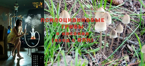 PSILOCYBIN Карталы