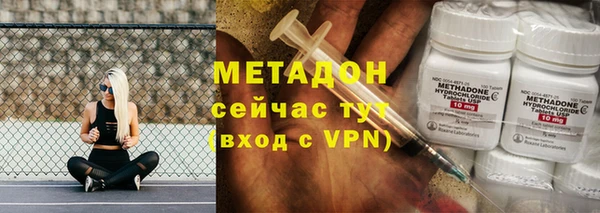 прущие грибы Карпинск