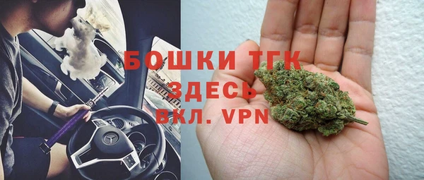 прущие грибы Карпинск
