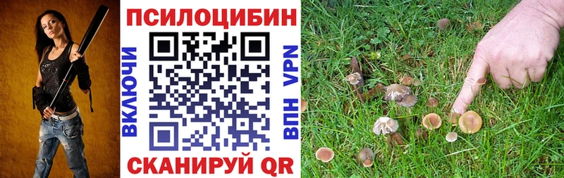 Купить закладки  Калач-на-Дону  Галлюциногенные грибы прущие грибы 