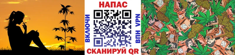 МАРИХУАНА сатива  Купить  Калач-на-Дону 